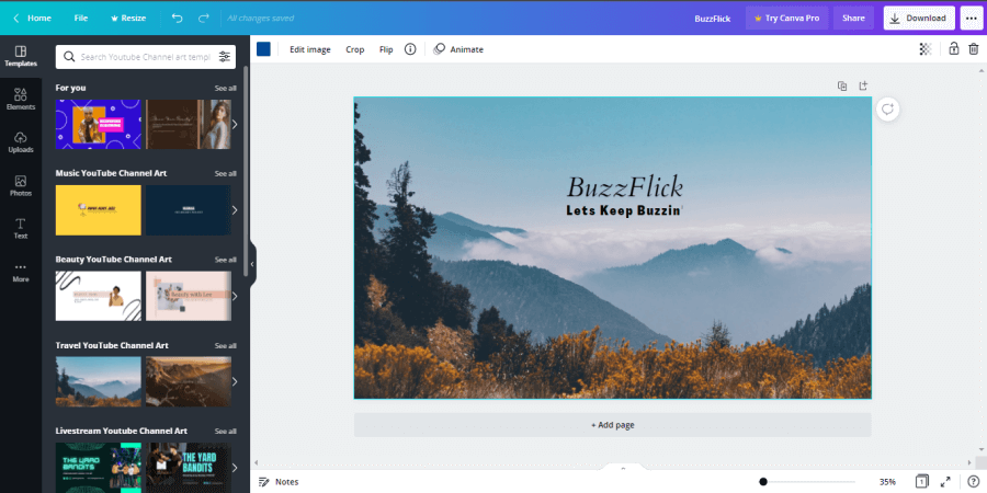 interface of canva
