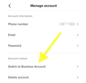 tiktok business account manage