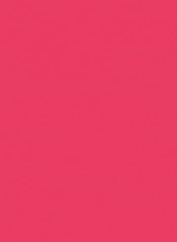 BuzzFlick Animation Demo